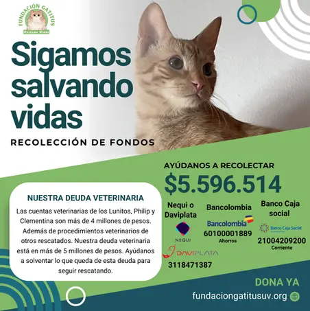 Sigamos salvando vidas