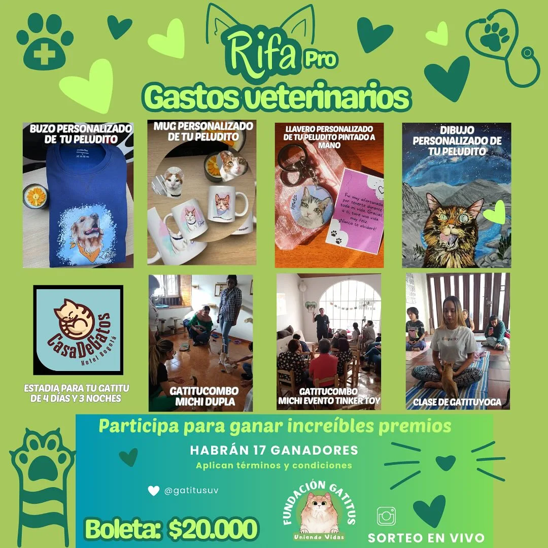 Rifa pro gastos veterinarios