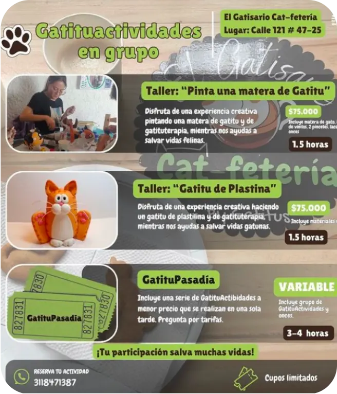 Gatitu Actividades