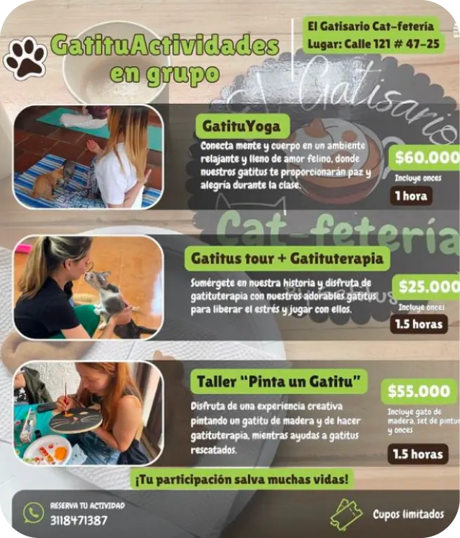 Gatitu Actividades