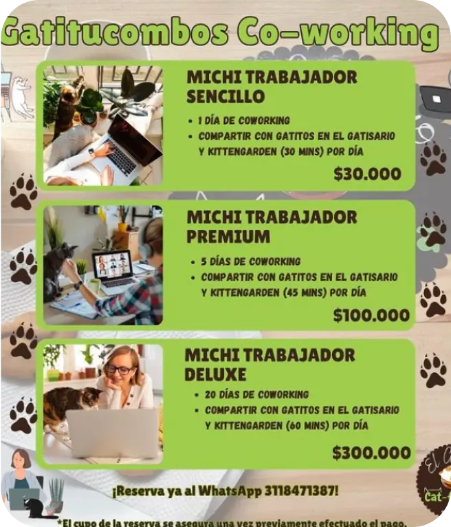Co-Working
